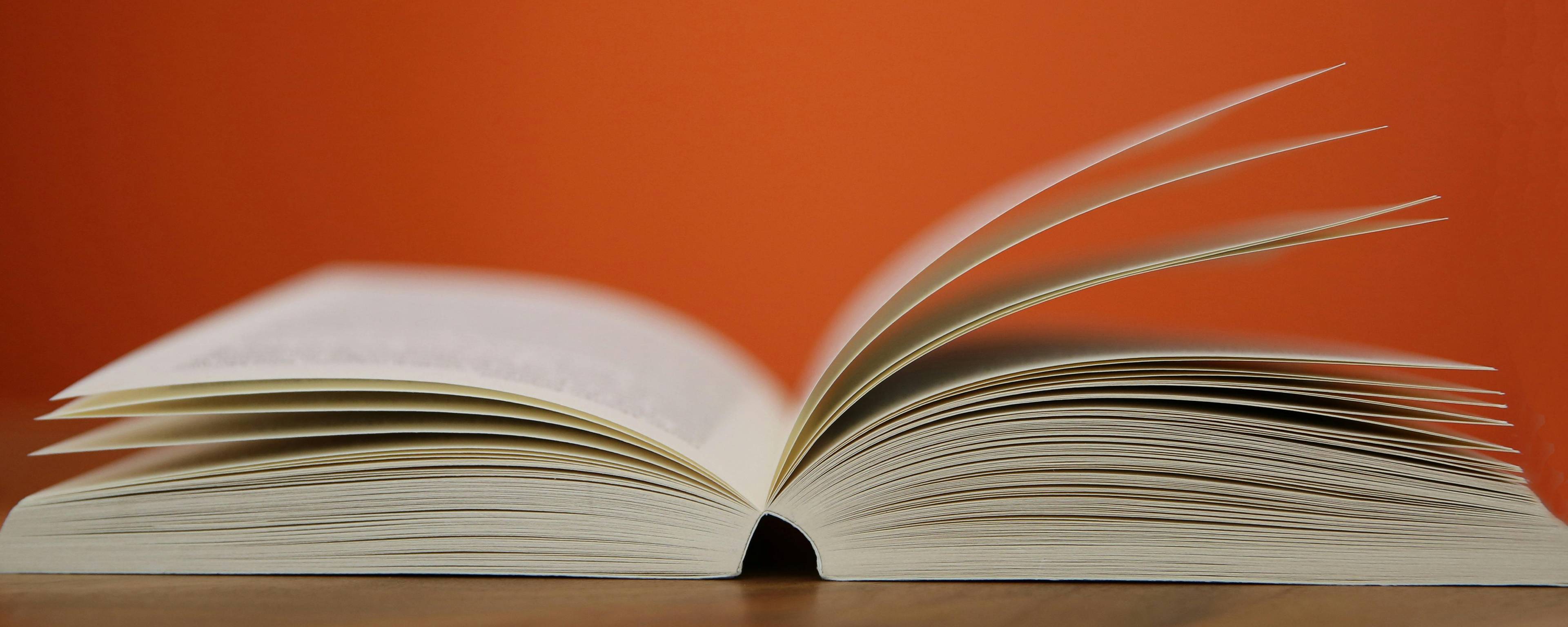 What Is Rights Management in Publishing? A Clear Guide